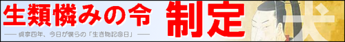 tk_bunner05