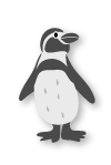 010202animal13wb