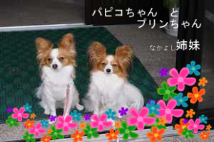 BlogPaint