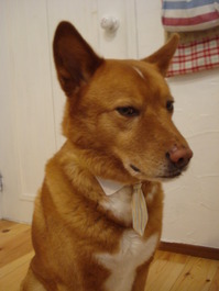 DSC09459