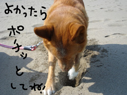 BlogPaint