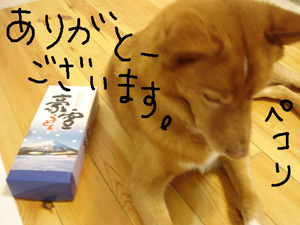 BlogPaint