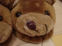 DSC00649