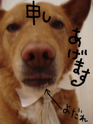 BlogPaint