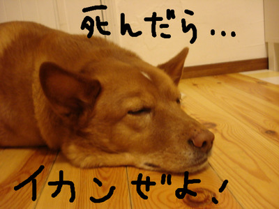 BlogPaint