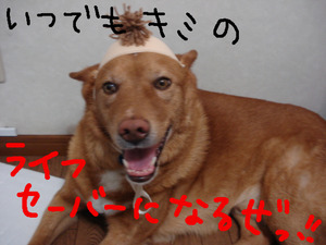 BlogPaint