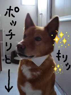 BlogPaint