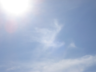 DSC04484