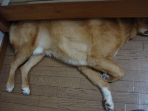 DSC09491