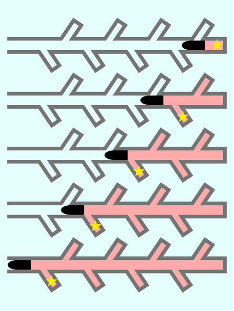 Tayakusituho