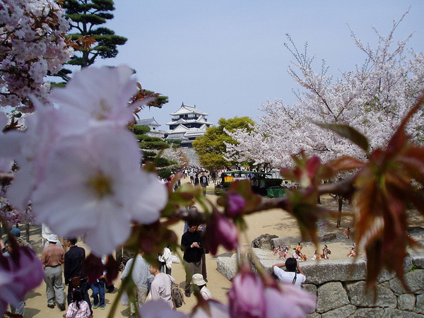 1280px-Matsuyama_castle_(Iyo)2