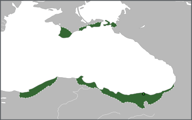 375px-Map_of_the_Empire_of_Trebizond.svg