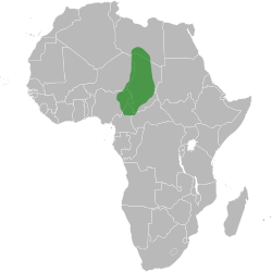 svg