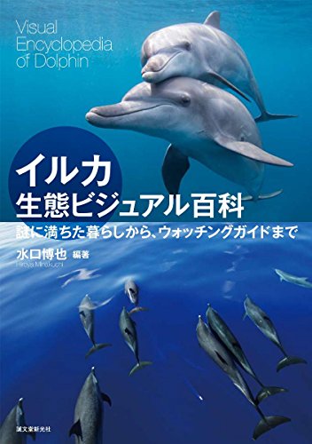 51nJbNFjMqL
