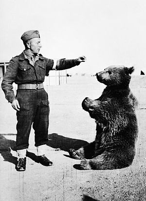 300px-Wojtek_the_bear