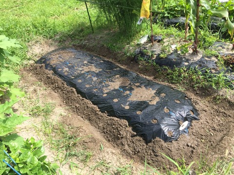 2017-08-14-09-41-57