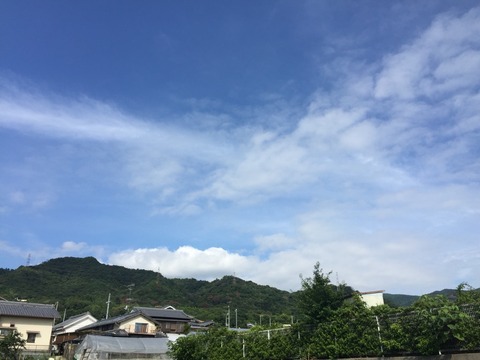 2017-08-20-08-35-20