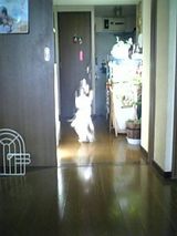 0c4266a6.jpg