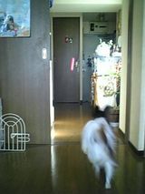 94902b34.jpg