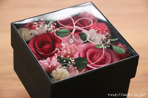 ·ëº§1¼þǯ¡Ê»æº§¼°¡Ë¥×¥ì¥¼¥ó¥È¤Ë¥ª¥¹¥¹¥á¤ÎÏ»æ¤Î²Ö¥Ü¥Ã¥¯¥¹¥Õ¥é¥ï¡¼(ÀÖ·Ï¤ÎÆ©ÌÀ¾å³¸)