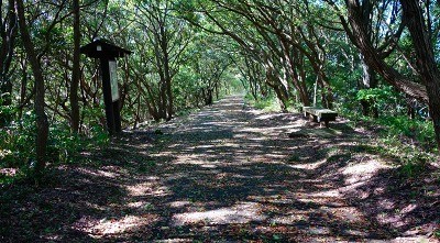 DSC09707