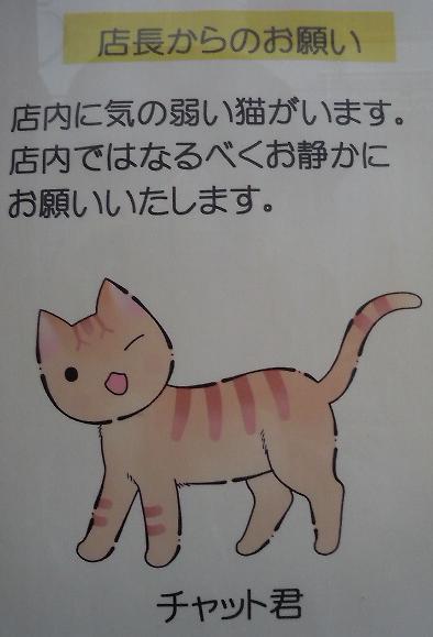 chat
