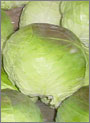 kyabetu