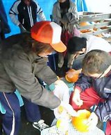 563873aa.jpg