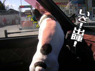 3/20柏の葉=出発=