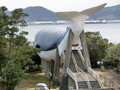 sekimidai1