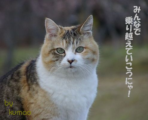 なつかしのミ〜ちゃん