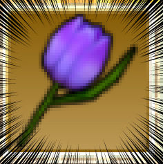 img1495109538655