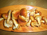 3796157f.jpg