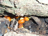 9ec82f90.jpg