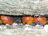 cf13f62b.jpg