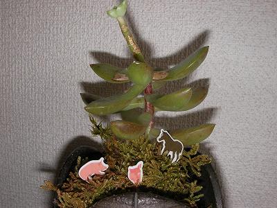 0c55f7d8.jpg
