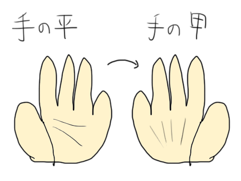 61