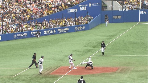 vlbaseball019240