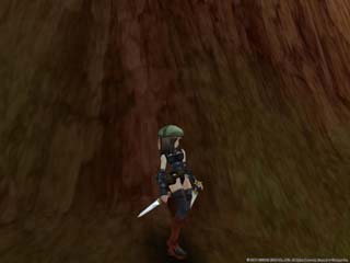 FE20070312_1