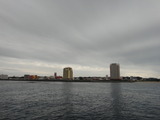 DSC02571
