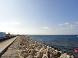 DSC02580