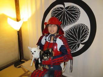 松山城 犬13