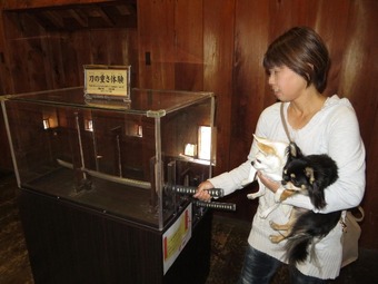 松山城 犬10