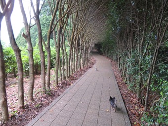 IMAGE022