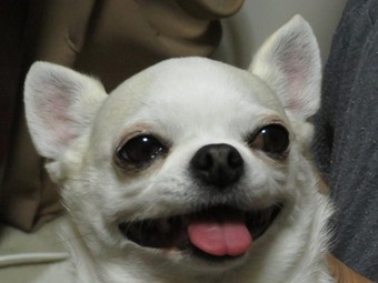 IMAGE004