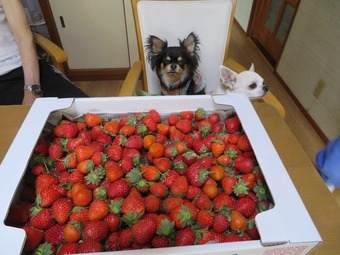 IMAGE000