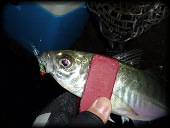 _IMAGE000