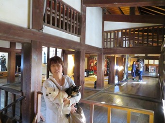 松山城 犬8