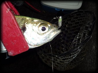 _IMAGE003