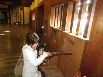 松山城 犬18